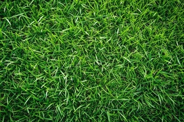 The field's green grass serves as the perfect background for a thrilling soccer game, with the...