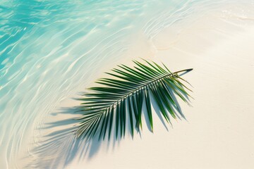 The water reflects the shadows of palm leaves on the white sand beach, creating a beautiful abstract background perfect for a summer vacation.