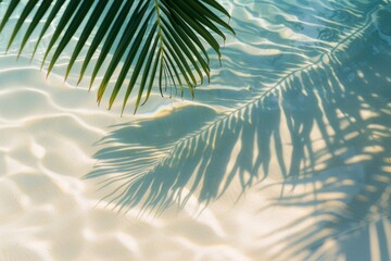 Fototapeta na wymiar The top view of a tropical leaf's shadow on the water's surface creates a stunning abstract background for a summer beach vacation.