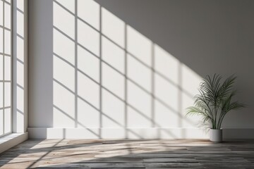Add a touch of natural beauty to your designs with this shadow overlay effect, featuring sunlight streaming through a window, casting delicate leaf patterns on a transparent background.