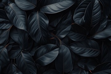 Amidst the black leaves of a tropical forest, the abstract textures create a dark and romantic backdrop, perfect for a fantasy-inspired fashion shoot or a dreamy meditation escape.