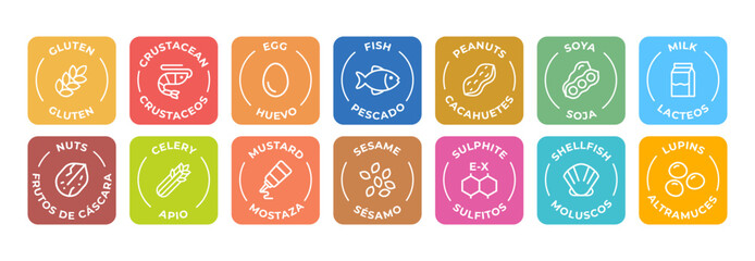 Isolated Vector Logo Set Badge Ingredient Warning Label. Colorful Allergens icons. Food Intolerance. The 14 allergens required to declare written in Spanish and English