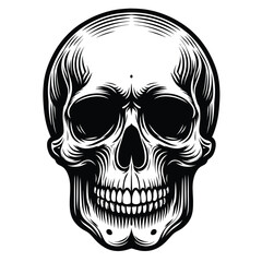 basic line Human skull  vector