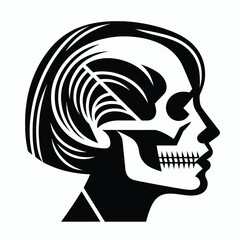 basic line Human skull  vector