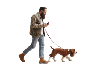 Full length profile shot of a bearded guy using a mobile phone and walking a basset hound dog