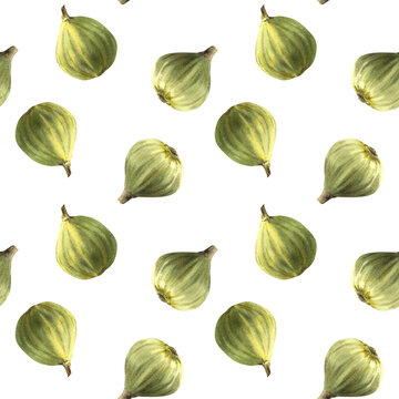 Ripe, juicy fruits of green figs, whole fruits seamless pattern. Food, plant clipart for fabric, label, wallpaper, packaging textile. Hand drawn watercolor illustration. Isolated on white background
