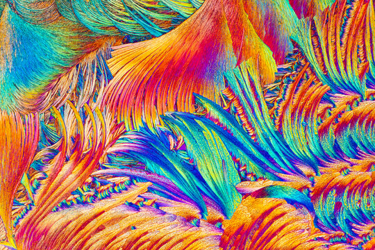 A detailed microscopic photograph reveals the feather-like structures of salicylic acid crystals, bursting with a spectrum of vivid colors