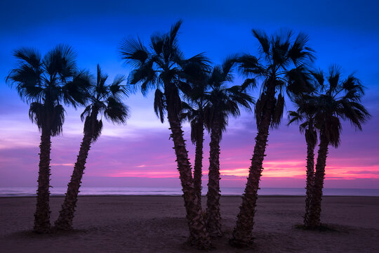 Silhouetted palm trees against a vibrant sunset sky with hues of pink and blue over a Mediterranean beach
