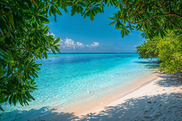 Hidden Paradise: A Secluded Cove in the Maldives with Sparkling Turquoise Waters, Pristine White Sands, and Lush Foliage Framing a View to the Boundless Horizon