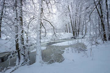 River covered with ice and snow in a dense forest, Trees in the snow near the river.
