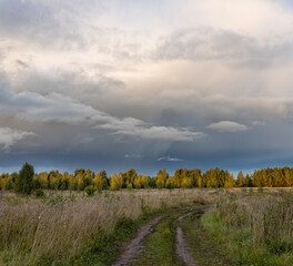 Naklejka premium Evening summer landscape, dramatic sky over a field. road through the meadow