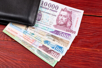 Hungarian money in the black wallet