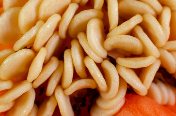 Red pepper seeds macro photography