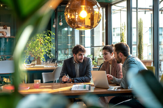 Person Sitting at a Table Working on Laptops in a Business Setting