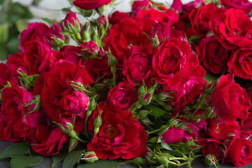 A beautiful bouquet of roses. Close up on red roses