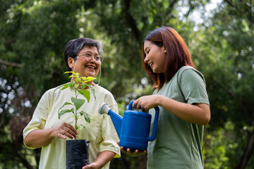 Portrait, Asian family mom and daughter plant sapling tree outdoors in nature park, Concept of happy retirement With care from a caregiver and Savings and senior health insurance, Happy family