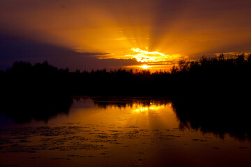 Golden sunset in sun rays