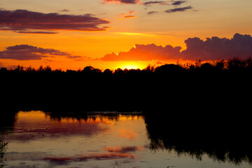 Obraz premium Trees glow on the horizon in the sunset before dusk