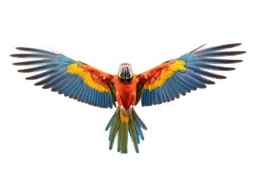 Foto op Canvas Close-up shot of a macaw spreading its wings and flying isolated on white transparent background. © venusvi
