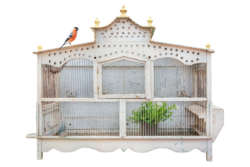 Ancient white painted wooden bird cage with small red bird