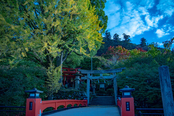 出石城城下町の紅葉