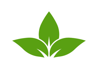 Leaf icon. Green leaves symbol or logo. Eco, organic, nature or bio design element. Vector illustration.