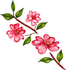 Naklejka premium Flowers