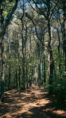 korea nature photo 11