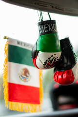 Mexican themed boxing gloves with the Mexican flag in the background