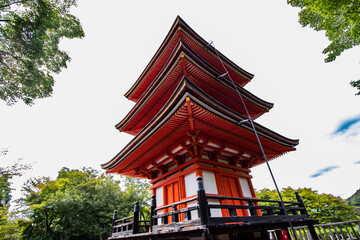 Close-up view of a sacred temple in Japan, cloudy sky and mature trees in the background. Horizontal image of Japanese architecture, spiritual journey retreat.