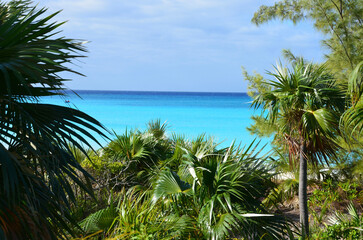 Tropical beach scenery, palm trees in front, turquoise ocean in the background