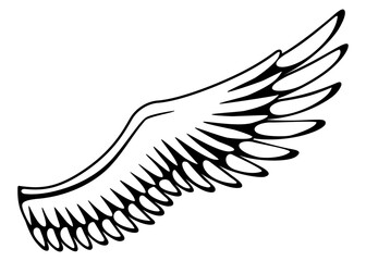 Wings sketch. Stylized birds wings. Hand drawn contoured stiker wing in open position. Vector design elements in coloring style
