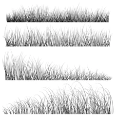Foto op Plexiglas Steppe grass brush set for illustrator. Vector illustration. Sketch for creativity. © Evgeniy