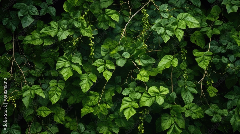 Poster a close up view of a bunch of green leaves. this image can be used for various purposes