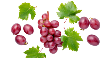  grape with leaves on white background 