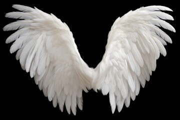 White angel wings against a black background. Perfect for adding a touch of ethereal beauty to any...