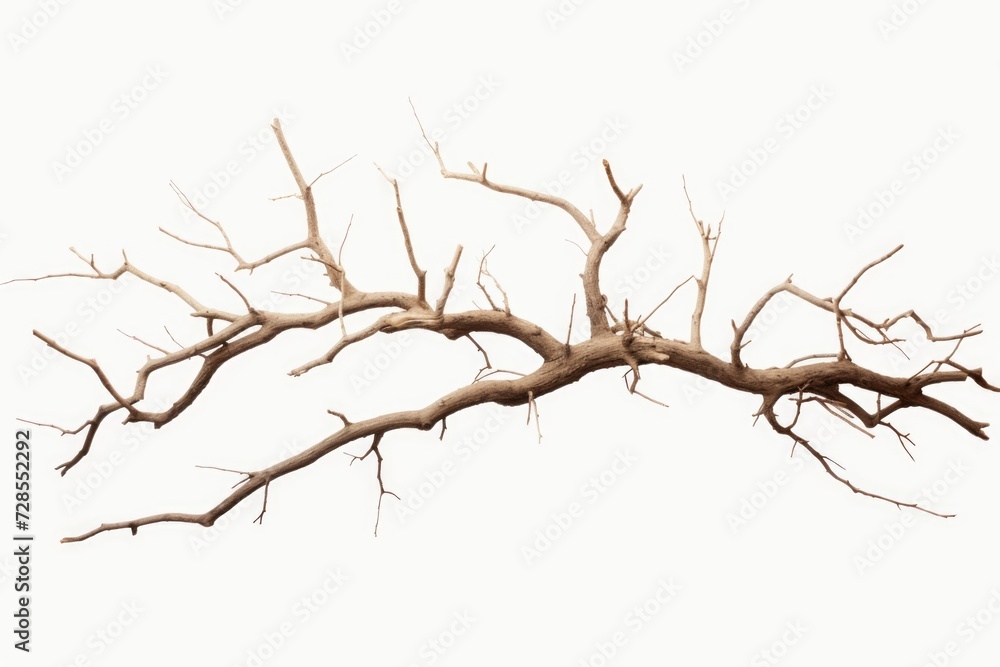 Poster A simple and minimalist image featuring a bare tree branch against a white sky. Perfect for adding a touch of nature and tranquility to any project