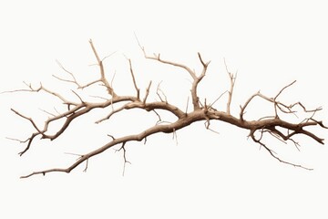 Obraz premium A simple and minimalist image featuring a bare tree branch against a white sky. Perfect for adding a touch of nature and tranquility to any project