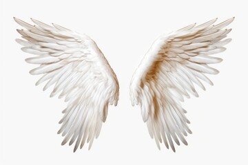 A pair of white wings on a white background. Perfect for angelic or ethereal themes - obrazy, fototapety, plakaty