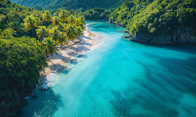 Enchanted Aerial Tapestry: A Secluded Caribbean Bay with Luminous Aqua Waters, Sun-Kissed Sandy Beaches, and a Verdant Canopy of Coconut Palms Swaying in the Gentle Breeze