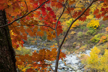 秋の峡谷