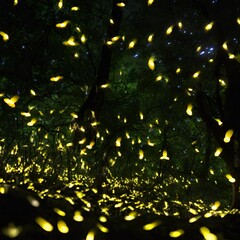 Whimsical scene of fireflies forming intricate patterns in a moonlit forest, creating a living light show.
