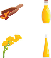 Rapeseed icons set cartoon vector. Canola oil seed and flower. Brassica napus, plant