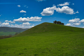 Sommer Landschaft mit grünem Hügel