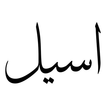 Aseel Muslim Girls Name Sulus Font Arabic Calligraphy 