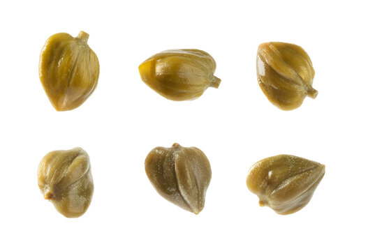 Capers isolated on white background. Marinated caper buds, small salted capparis in bowl, fermented food, pickled capers group.Organic spices and seasonings.