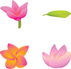 Lotus flower icons set cartoon vector. Blooming lotus or water lily with leaf. Flower, buddhism symbol