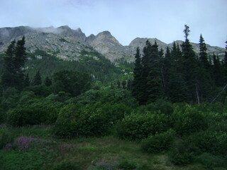 view of Alaskan mountains with tree line in front