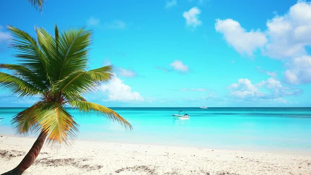 Sea palm beach on the Caribbean coast on a sunny summer day. A luxurious holiday on white sand with turquoise ocean waves. Travel to a tropical paradise. Background of blue sky with white clouds.