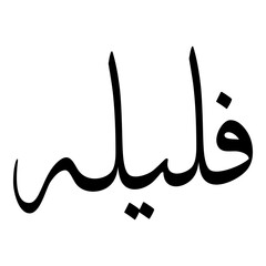 Fulailah Muslim Girls Name Sulus Font Arabic Calligraphy 